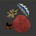 Coral Shaped Sculpture Carving With Various Colors And Textured Designs On