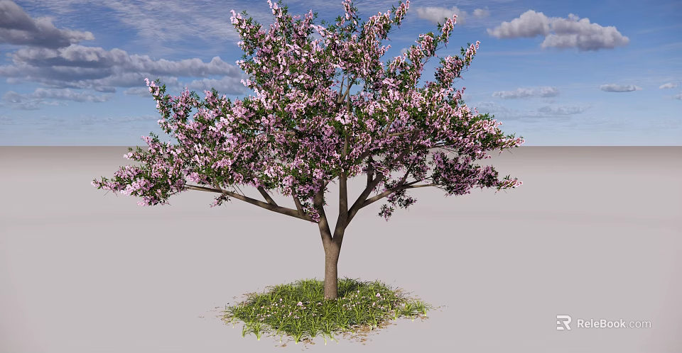 Pink Flowering Arbor with Lush Pink Blossoms Blue Sky White Clouds and Green Grass 3d model 