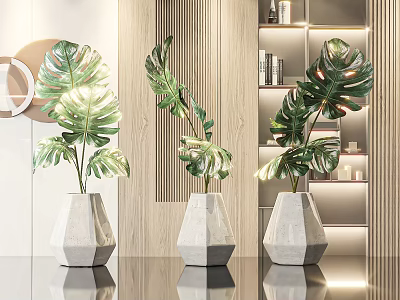 Three Geometric White Vases With Vibrant Monstera Leaves In Modern Indoor Space With Soft Lighting 3d model