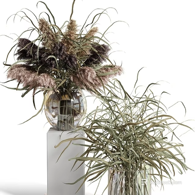 Transparent Glass Vase With Dried Pampas Grass Purple Brown Flowers And Green Foliage 3d model 