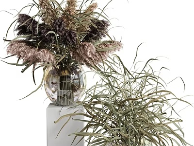 Transparent Glass Vase With Dried Pampas Grass Purple Brown Flowers And Green Foliage 3d model