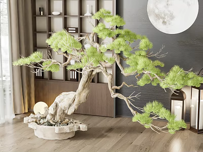 Pine Bonsai Tree With Lush Green Foliage Indoor Decor Bookshelf Lanterns And Moon Decoration 3d model