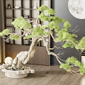 Pine Bonsai Tree With Lush Green Foliage Indoor Decor Bookshelf Lanterns And Moon Decoration