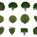 Various Green Shrub Varieties With Different Shapes For Landscaping Use 3d model
