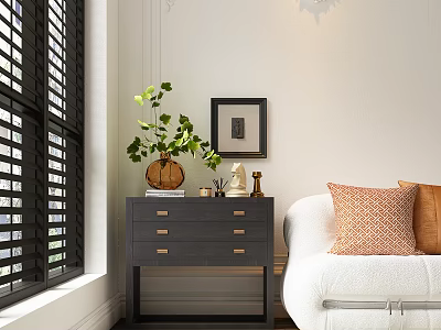 Dark Gray Dresser With Drawers Near White Sofa Orange Pillows Green Plant Framed Art And Black Shutters 3d model