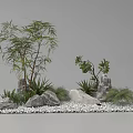 Natural Garden Landscape With Various Plants Stones And Gravel Arrangement