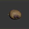 Orange root vegetable with purple red sprouts on top placed on smooth gray surface