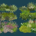 Diverse Flower and Plant Varieties for Garden Landscaping with Colorful Blooms and Green Foliage