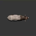 Realistic Pinkish Purple Horned Goat Standing On Dark Background