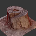 Natural Wooden Stump With Ring Patterns And Cracked Surface On Square Stone Slab Base 3d model