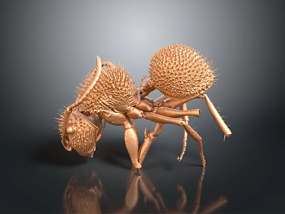 Detailed 3D Brown Ant Model Featuring Spiky Exoskeleton And Segmented Legs 3d model