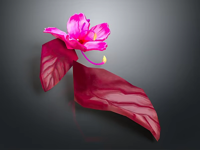 Vibrant Blooming Pink Flower With Red Leaves Against Dark Gray Background 3d model