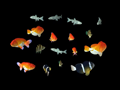 Different Types of Colorful Aquatic Fish Including Orange and Striped Varieties on Black Background 3d model