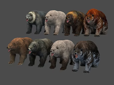 Collection of Roaring Bears with Various Fur Colors and Textured Coats 3d model