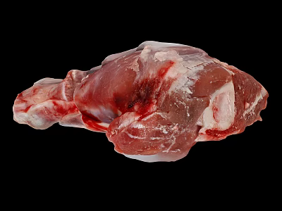 High Quality Fresh Raw Meat with Bone and Marbled Fat for Cooking 3d model