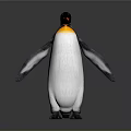 Standing Penguin With Black And White Feathers Orange Beak Isolated On White Background