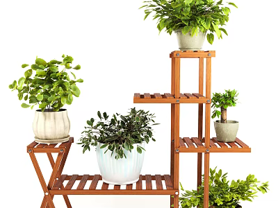 Garden Decor With Wooden Plant Stands And Various Green Potted Plants 3d model