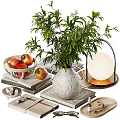 Elegant Decorative Ornament Set with Green Plant Vase Stacked Books and Fruit Bowl