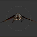 Red Patterned Winged Cicada Flying Animal With Black And White Body On Dark Background