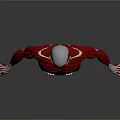 Medical Device For Human Muscle Anatomy Education With Clear Structure Model
