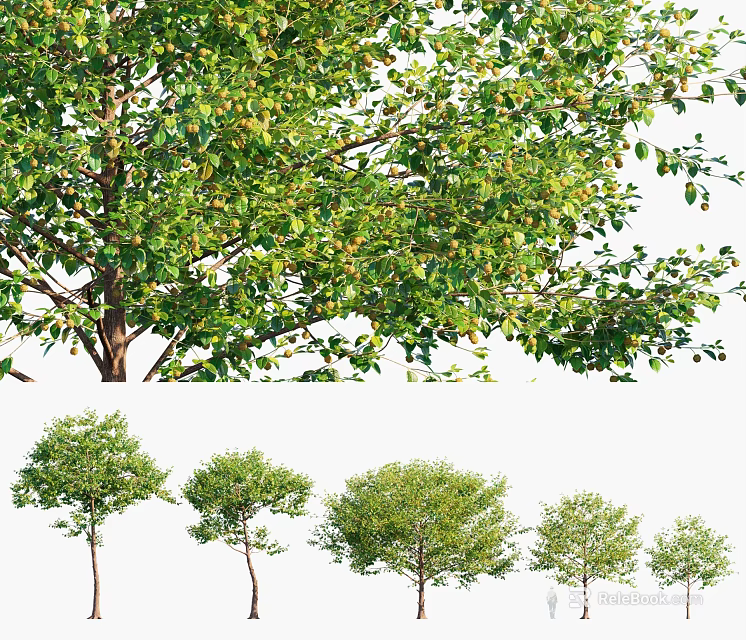 Lush Green Arbor With Healthy Foliage Detailed Branches And Various Growth Sizes 3d model 