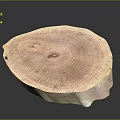 Natural Wooden Round Slice With Tree Ring Grain And Smooth Surface Decorative Piece 3d model