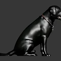 Black Dog Sitting With Tongue Out Wearing Brown Collar And Silver Pendant Against Dark Background