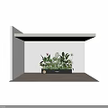 Tropical Plant Combination with Various Greenery and Large Leaves in Black Rectangular Planter 3d model