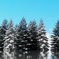 Beautiful Snow Covered Evergreen Trees Against Clear Blue Sky With Water Reflection