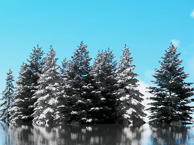 Beautiful Snow Covered Evergreen Trees Against Clear Blue Sky With Water Reflection 3d model