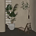 Potted Plants In Modern Interior With White Planter Window Blinds Gray Container And Woven Chair