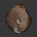 Fresh Brown Wild Mushroom With Textured Cap And Firm Stem For Cooking