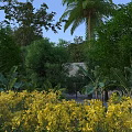 Yellow Flower Field with Lush Green Trees Palm and Small House Under Blue Sky