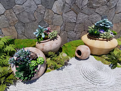 Succulent Plant Combinations In Terracotta Planters With Stone Wall Background And Green Foliage 3d model