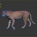 Realistic Cheetah With Spotted Fur Standing Alert On Dark Reflective Surface 3d model