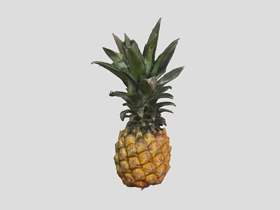 Fresh Ripe Pineapple With Green Leafy Crown And Yellow Juicy Flesh Tropical Fruit 3d model