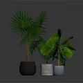 Indoor Green Plants With Various Decorative Pots And Lush Foliage