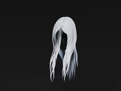 Hair White Hair Wig Hair Cover 3d model