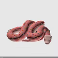 Cute Pink Donut Shaped Snake Covered With Colorful Sprinkles on Gray Background