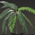 Fantasy Alien Plant Palm Shrub Tree 3d model