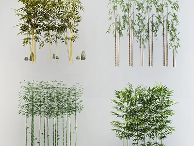 Different Types Of Decorative Bamboo Plants With Various Heights And Leaf Shapes 3d model