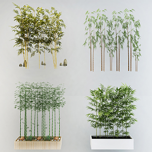 Modern bamboo 3d model