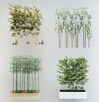 Modern bamboo 3d model