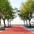 Arbor Trees Lined Along Red Pathway With Green Leaves And Tree Planters