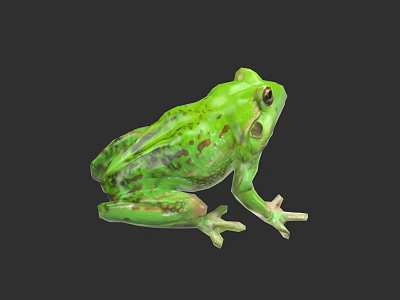 Detailed Green Spotted Reptile Body Sitting Isolated On Black Background View 3d model