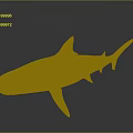 Realistic 3D Rendered Striped Brown Shark with Lifelike Features on Dark Background