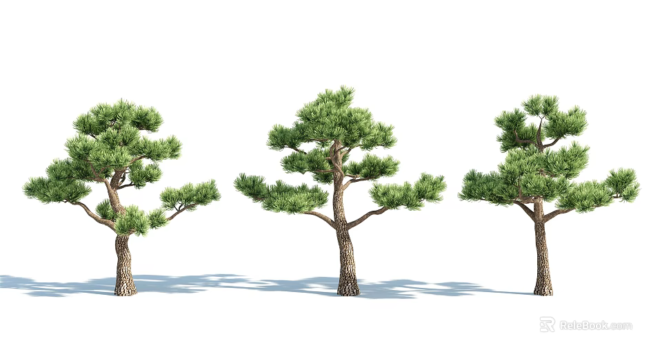 Arbor Trees with Green Pine Foliage and Brown Trunks in Natural Setting 3d model 