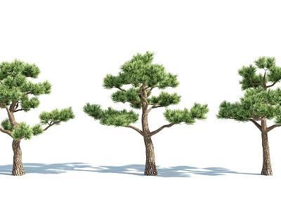 Arbor Trees with Green Pine Foliage and Brown Trunks in Natural Setting 3d model