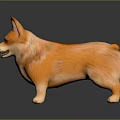 3D Rendered Orange Corgi Dog With Green Eyes On Dark Shiny Surface