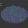 Lush Circular Green Grass With Bright Yellow Flowers On Dark Background